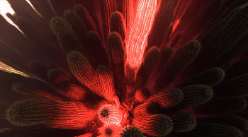 Dry Lights