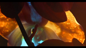 SCINTILLATION