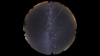 Leonid and Zodiacal Light